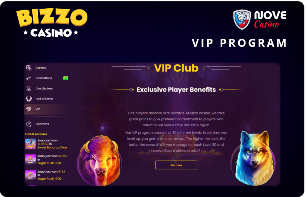 VIP program