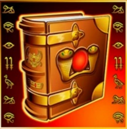 Book of Ra Classic Wild/Scatter Symbol